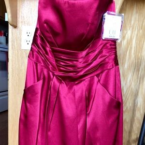New David’s Bridal Bridesmaid Dress - Apple Red